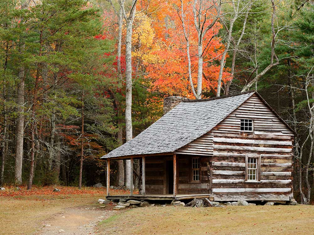 Wood Siding / Log Cabin Cleaning